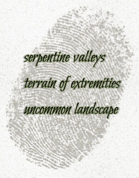 makesomething-thumbprint-haiku