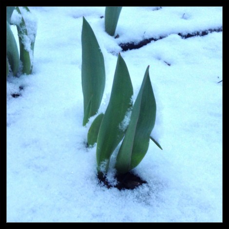 makesomething-appetizing